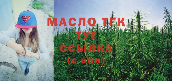 стафф Верхний Тагил