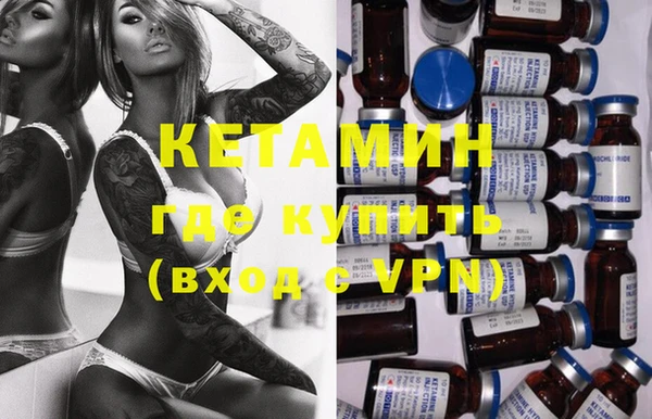 крисы Бородино