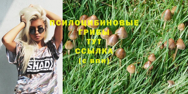 синтетический гашиш Бронницы