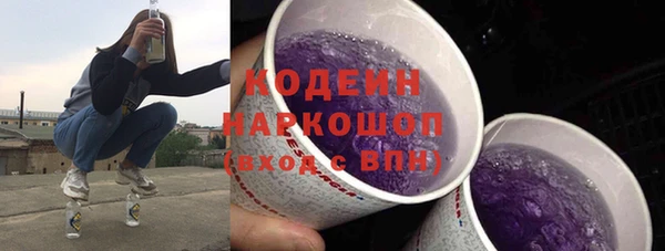 крисы Бородино