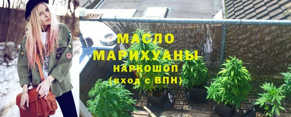 крисы Бородино