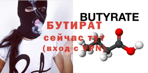 крисы Бородино