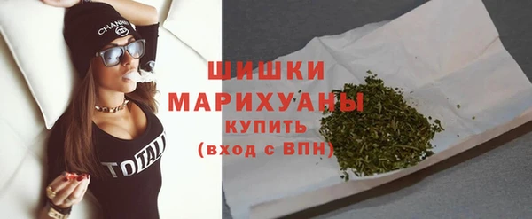 крисы Бородино