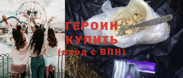 крисы Бородино