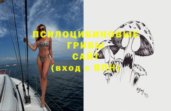 стафф Верхний Тагил
