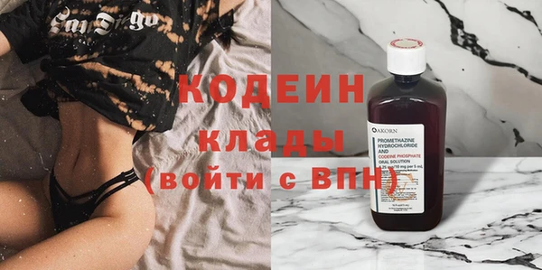 крисы Бородино