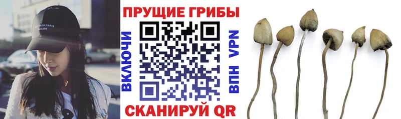 MEGA онион  Вольск  Галлюциногенные грибы MAGIC MUSHROOMS 